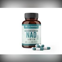 NAD LABS NUTRICION X60CAPS