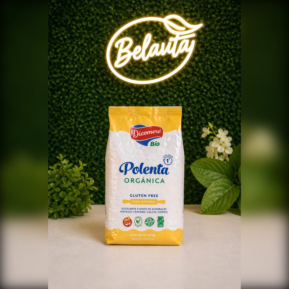 POLENTA ORGANICA X450GRS