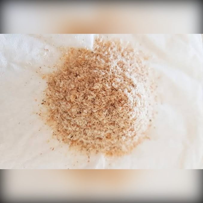 PSYLLIUM MOLIDO X 100GRS