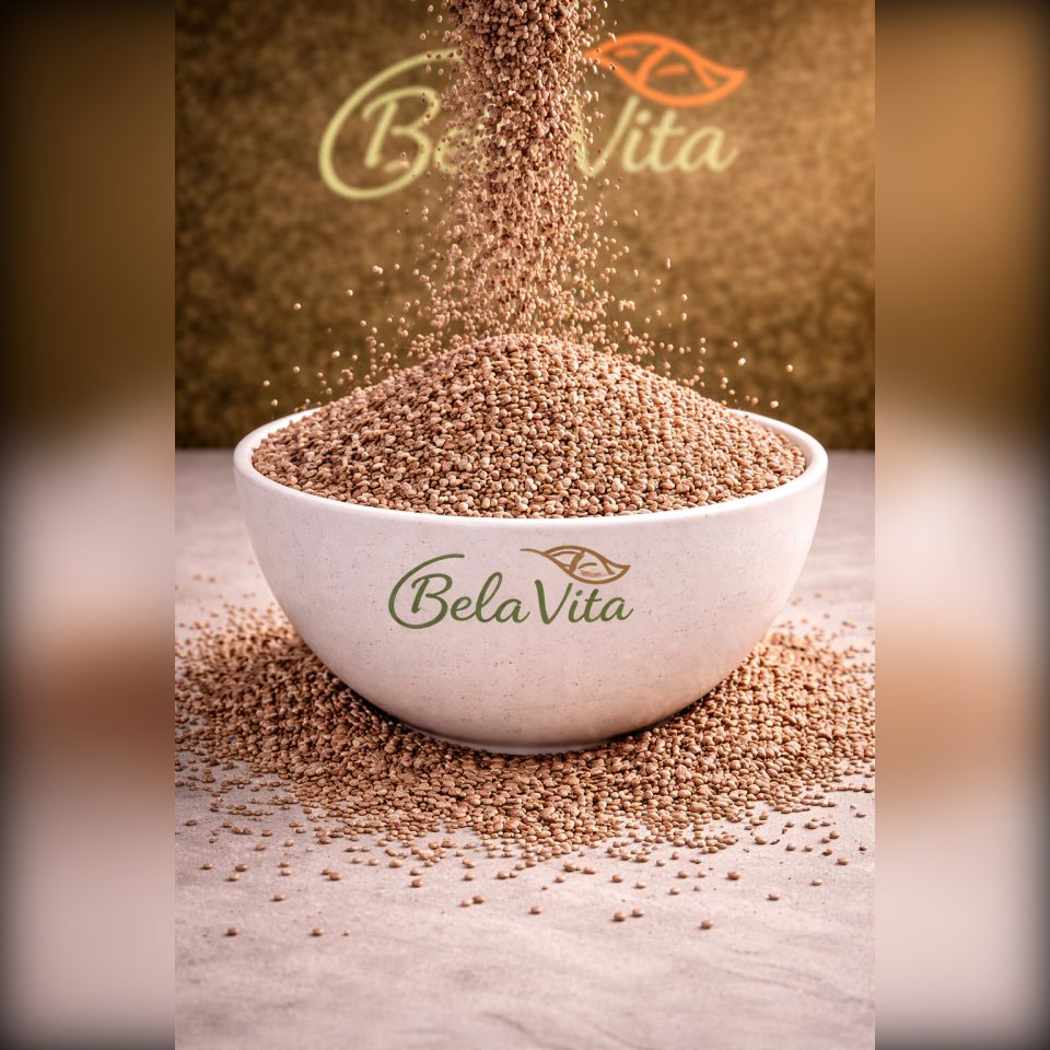 SEMILLA PSYLLIUM X100GRS