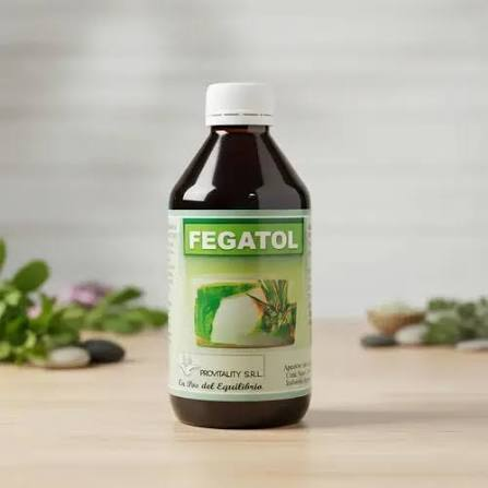 FEGATOL  X 500 CC PROVITALITY