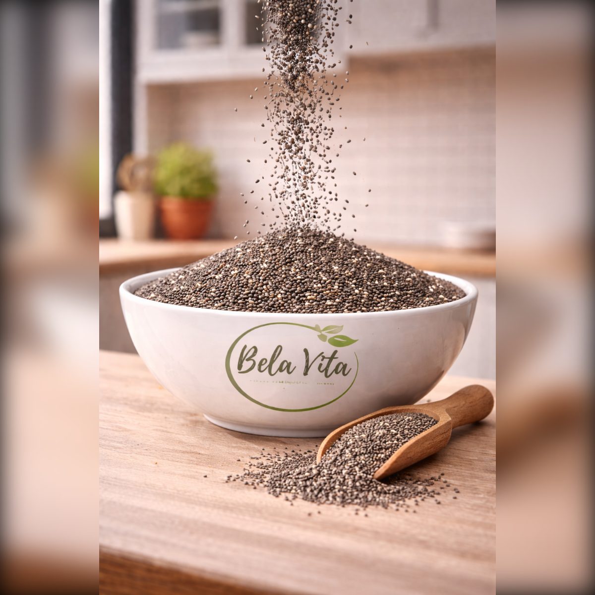 CHIA SEMILLA X500GRS