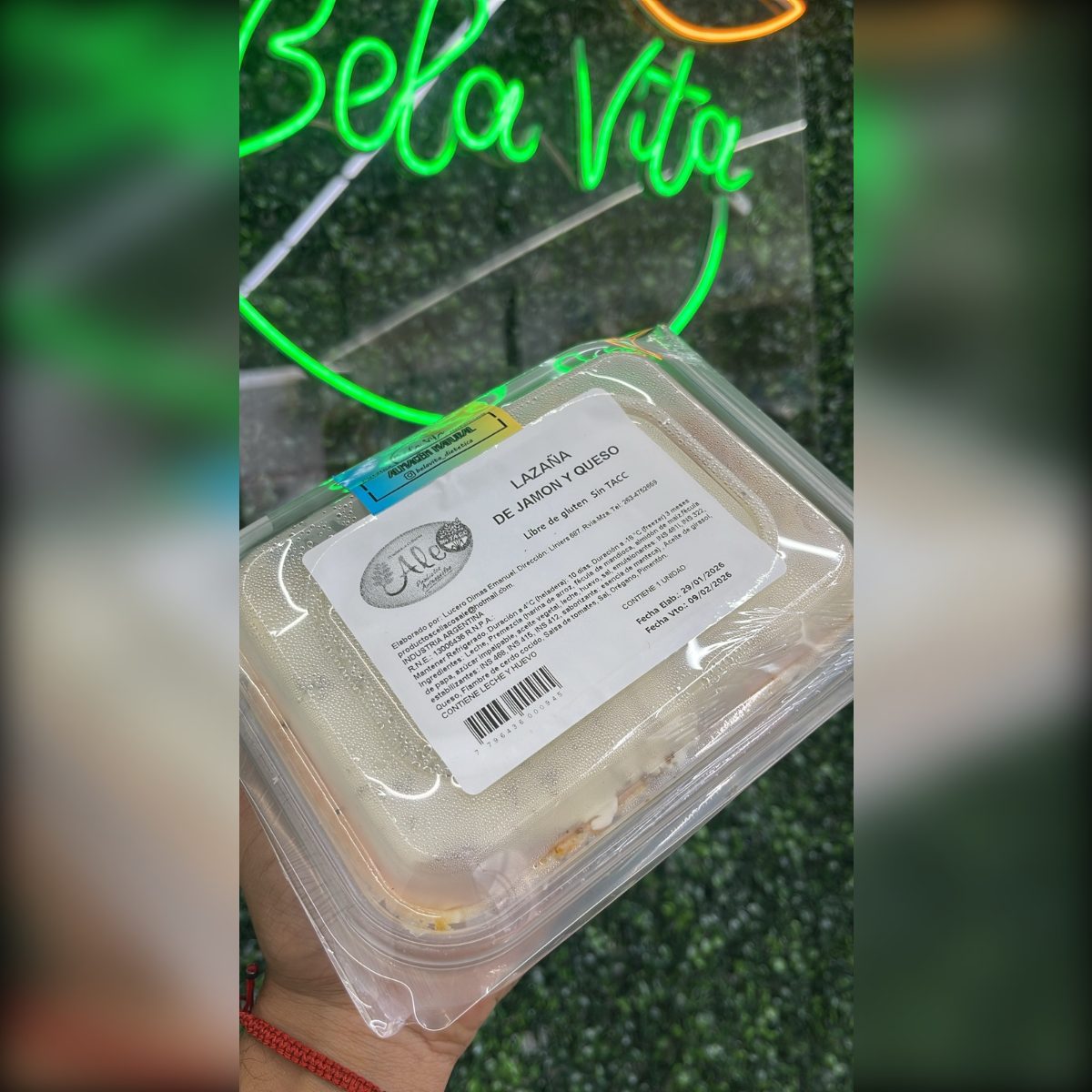 LAZAÑA DE JAMON Y QUESO ALE