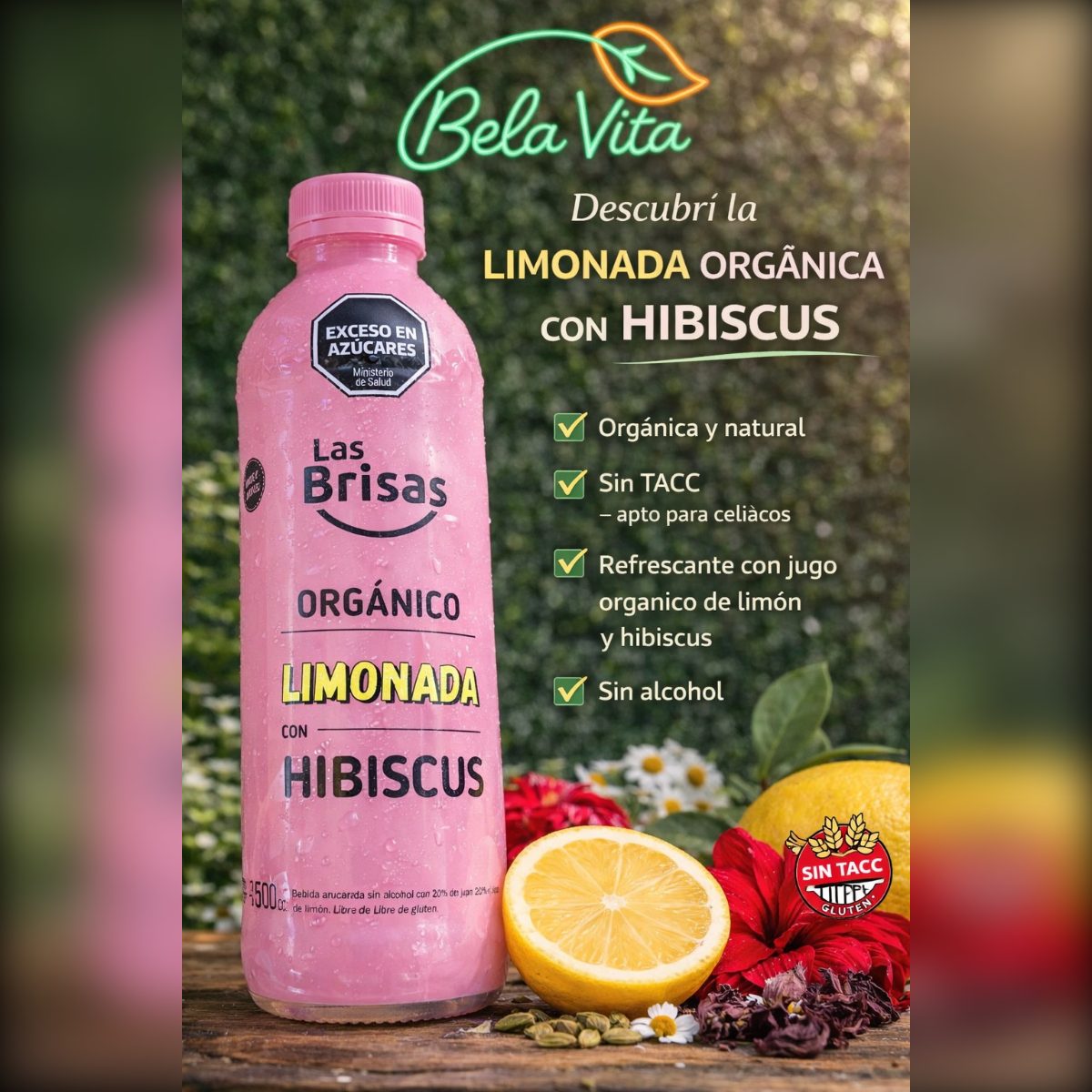 LIMONADA CON HIBISCUS X500CC LAS BRISAS