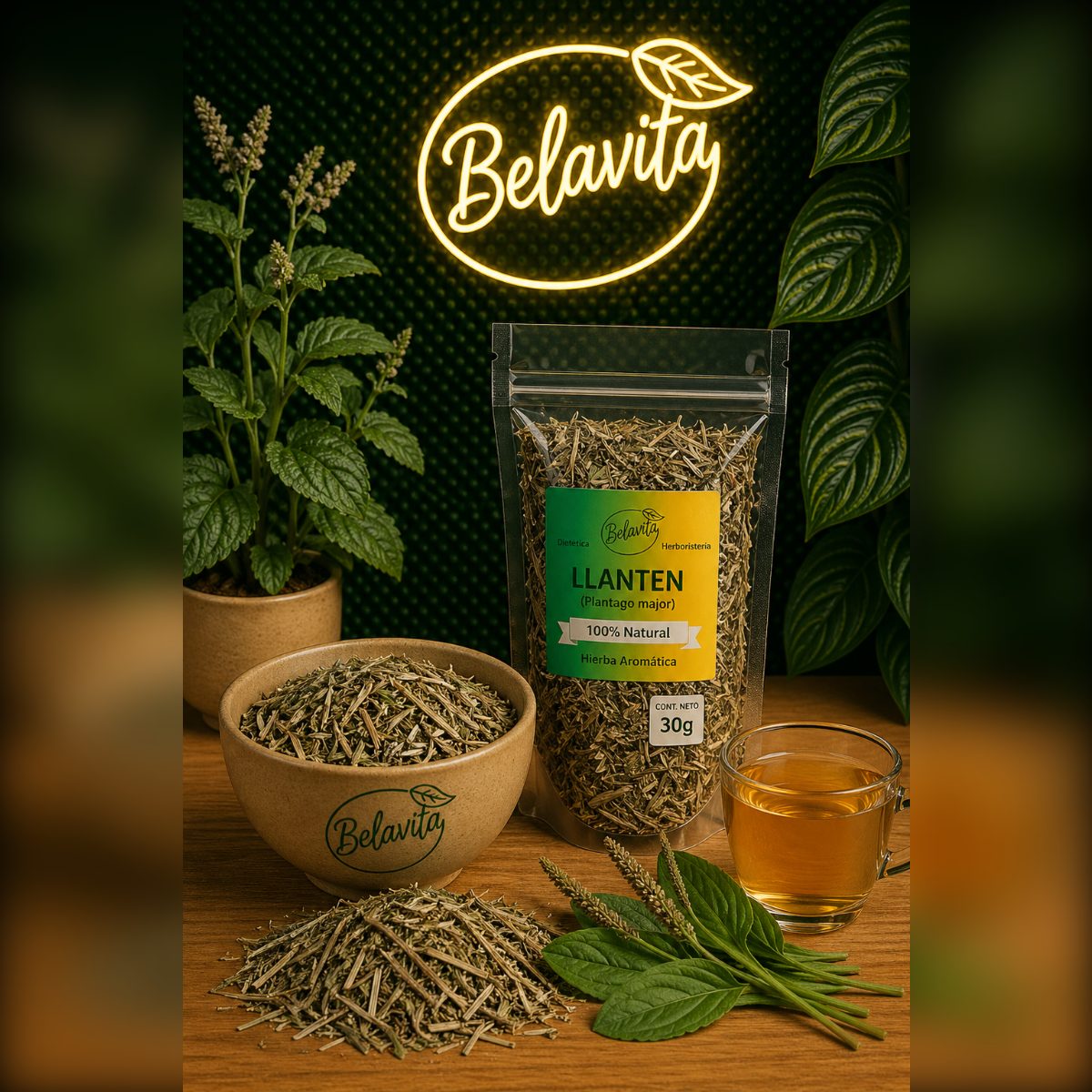 LLANTEN 50GR HERBORISTERIA
