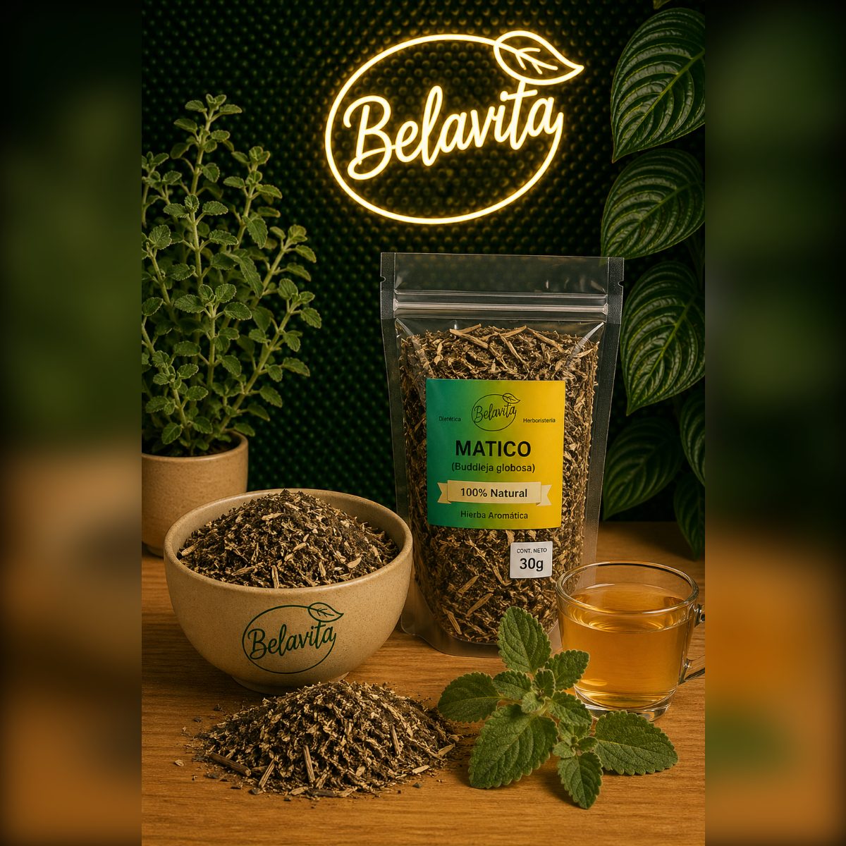 MATICO 50GR HERBORISTERIA